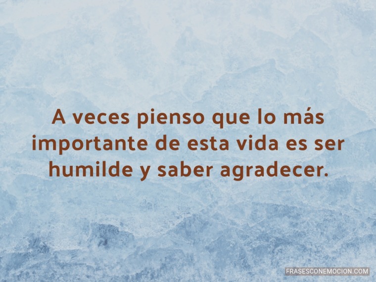 A veces pienso que lo más importante...