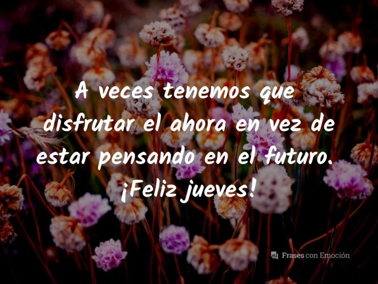 A veces tenemos que disfrutar...