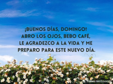 Abro los ojos, bebo café...
