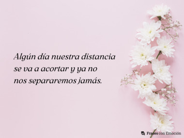 Algún día nuestra distancia se...