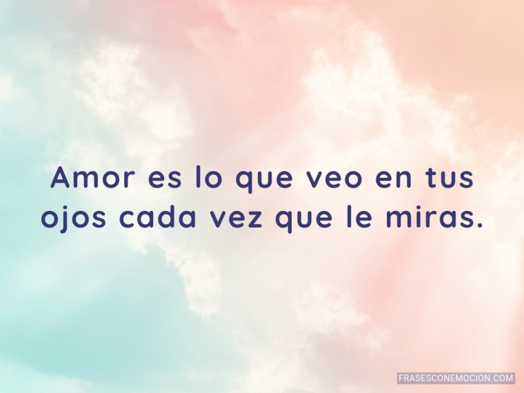 Amor es lo que veo...