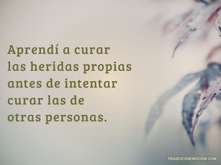 Aprendí a curar...