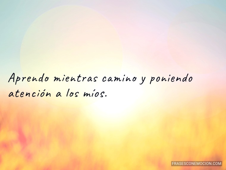 Aprendo mientras camino...