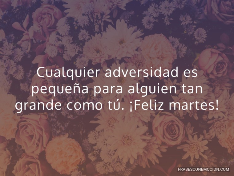 Cualquier adversidad es...
