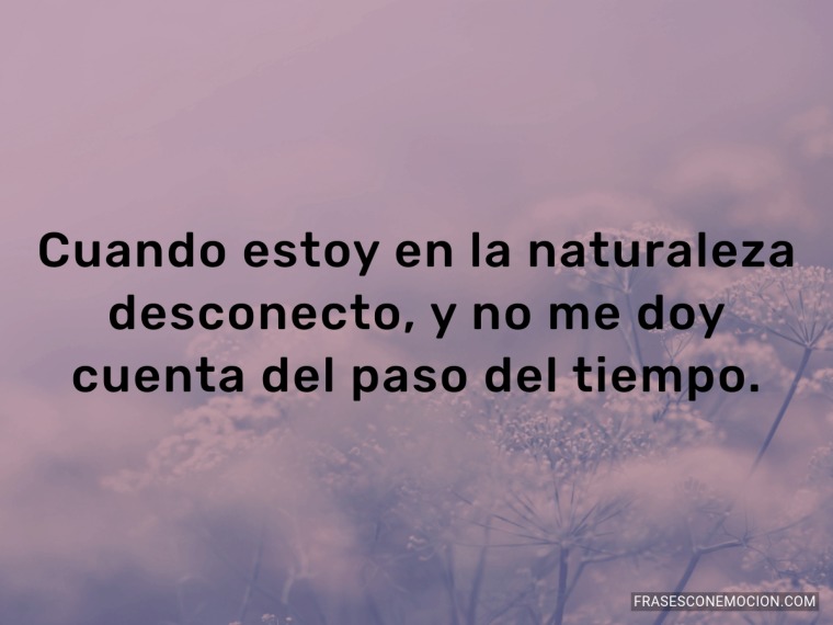 Cuando estoy en la naturaleza...