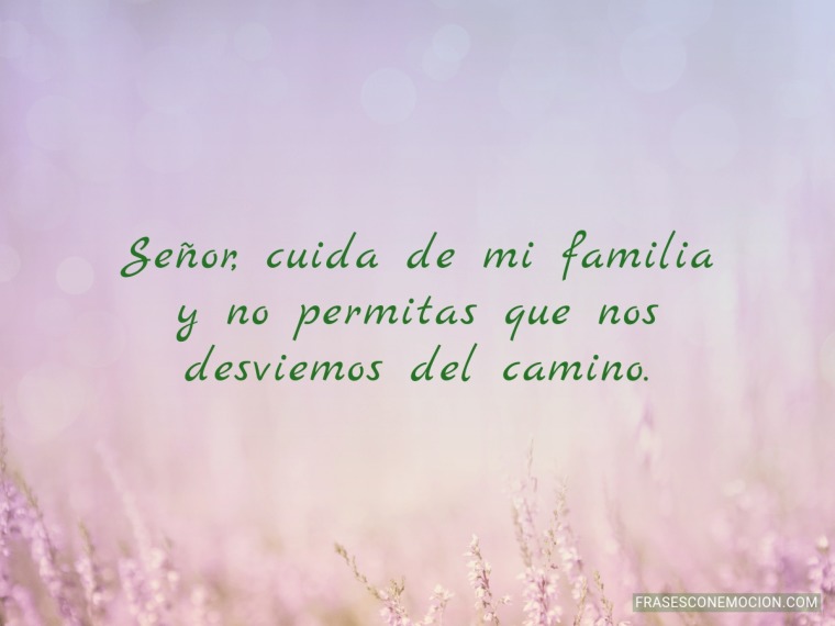 Cuida de mi familia...