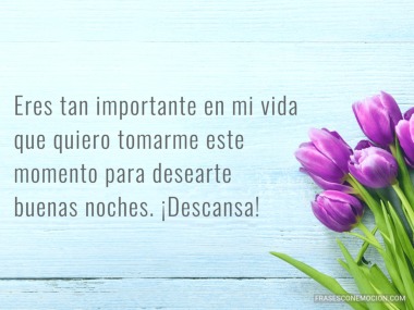 Eres tan importante...