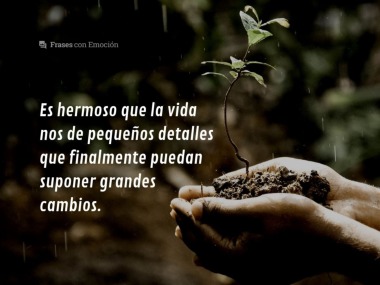 Es hermoso que la vida...