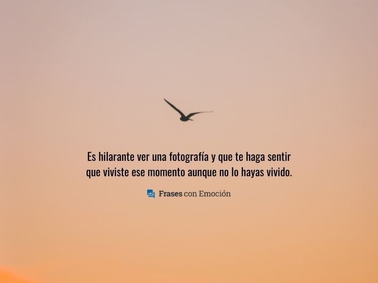 Es hilarante ver una fotografía...