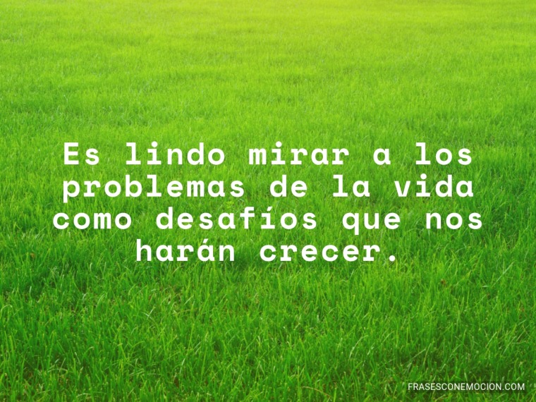 Es lindo mirar a los problemas...
