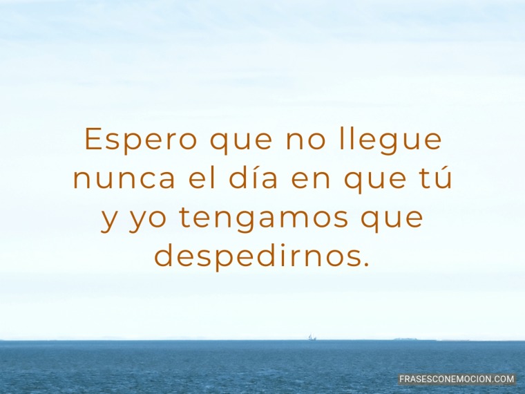 Espero que no llegue...