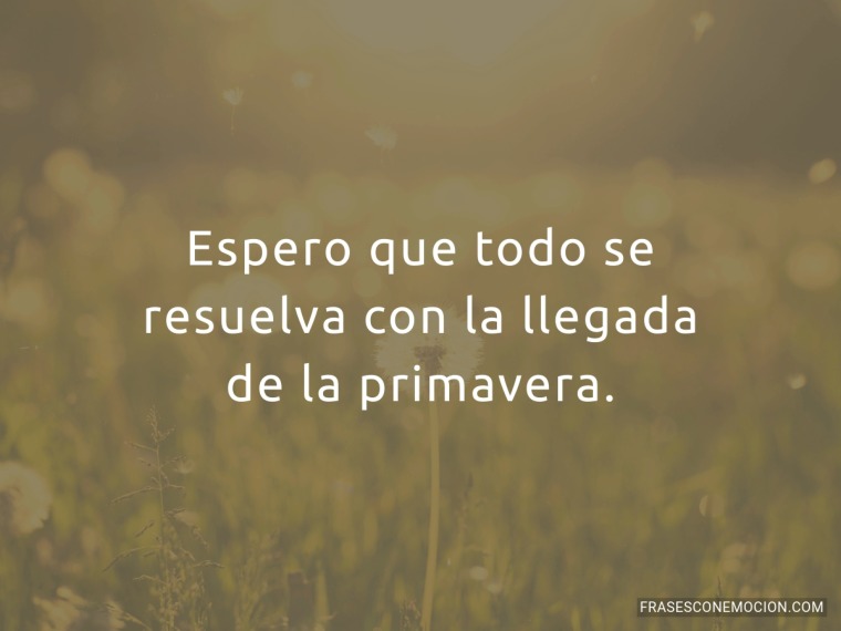 Espero que todo se...