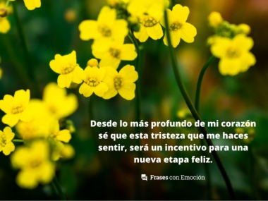 Esta tristeza que me haces sentir...