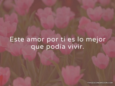 Este amor por ti es lo...