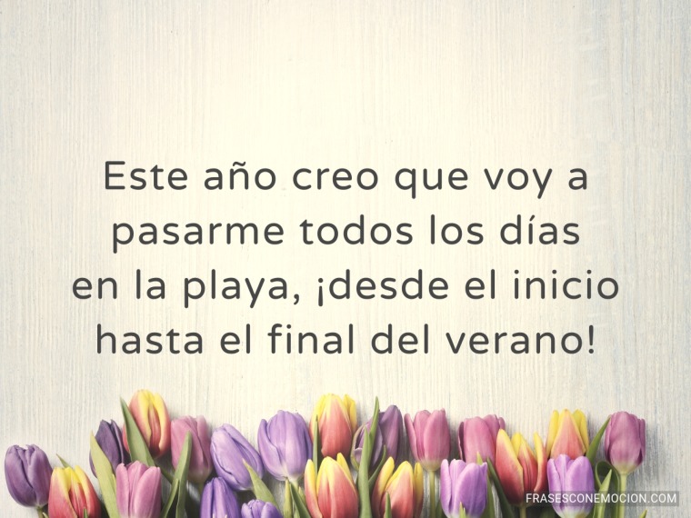 Este año creo que voy a...