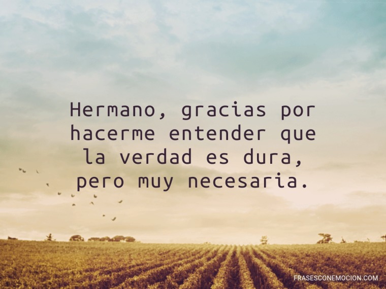 Gracias por hacerme entender...