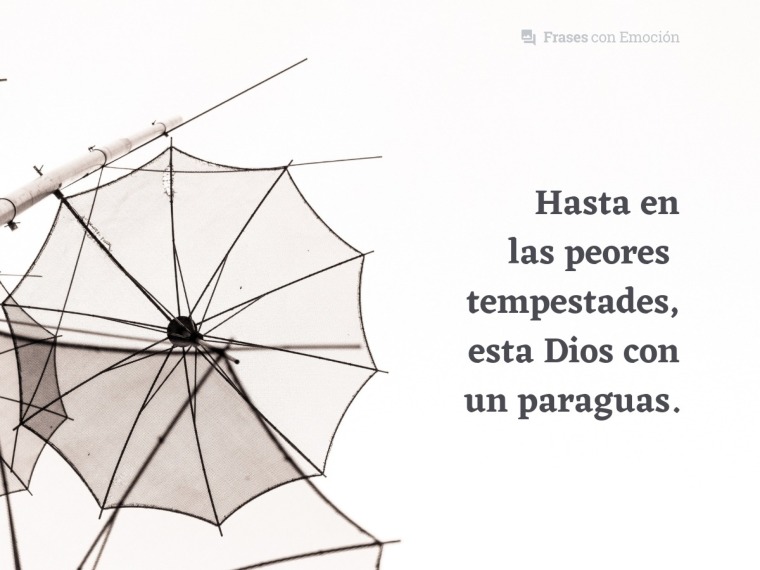 Hasta en las peores tempestades...