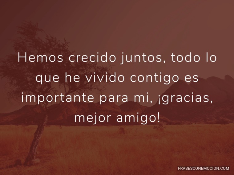 Hemos crecido juntos...