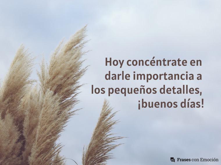 Hoy concéntrate en darle...