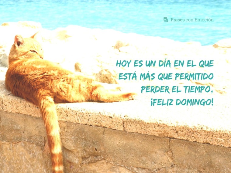 Hoy es un día en el que...