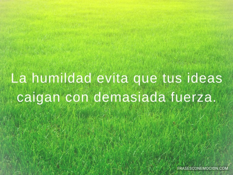 La humildad evita...
