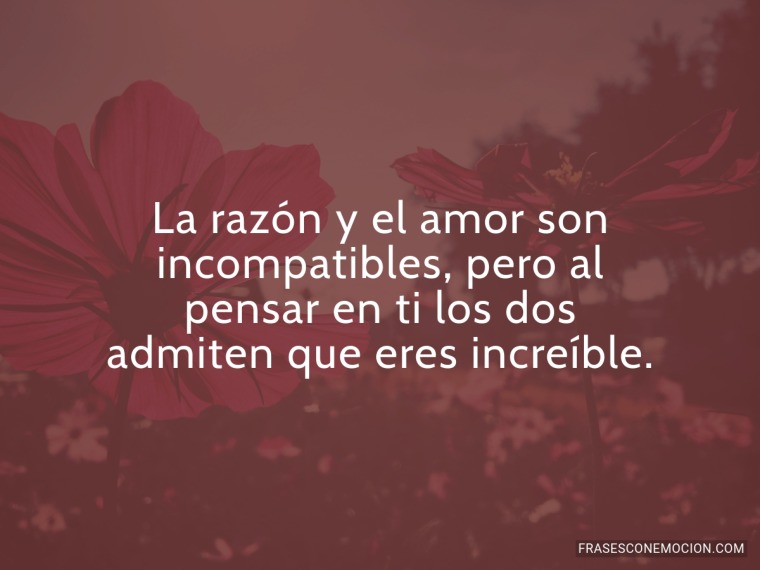 La razón y el amor...