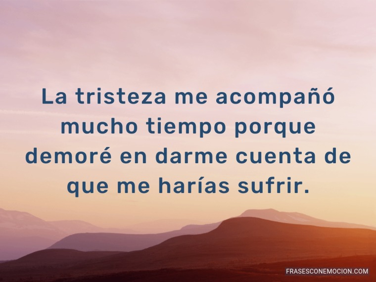 La tristeza me acompañó...