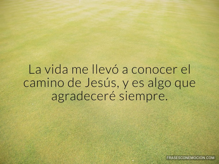 La vida me llevó a conocer...