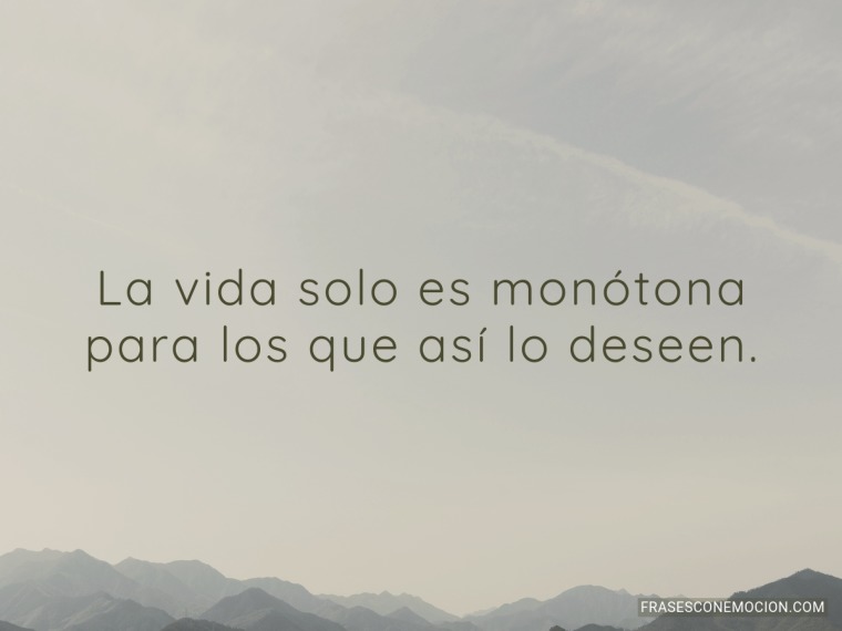 La vida solo es monótona...