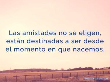 Las amistades no se eligen...