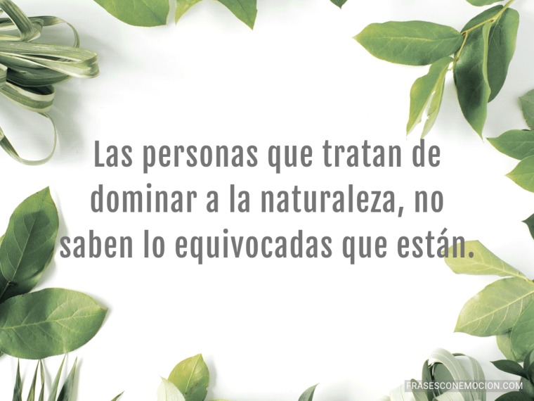 Las personas que tratan...