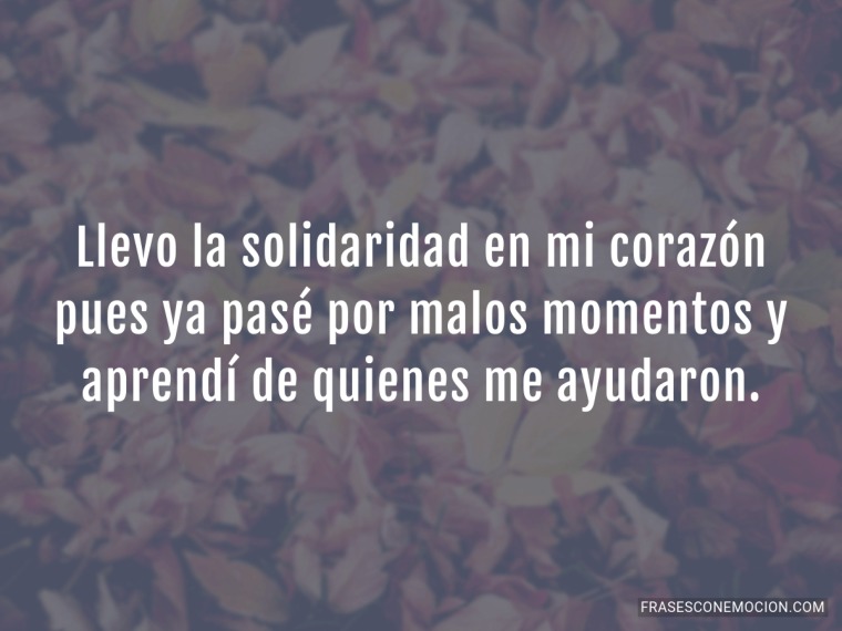 Llevo la solidaridad en mi...