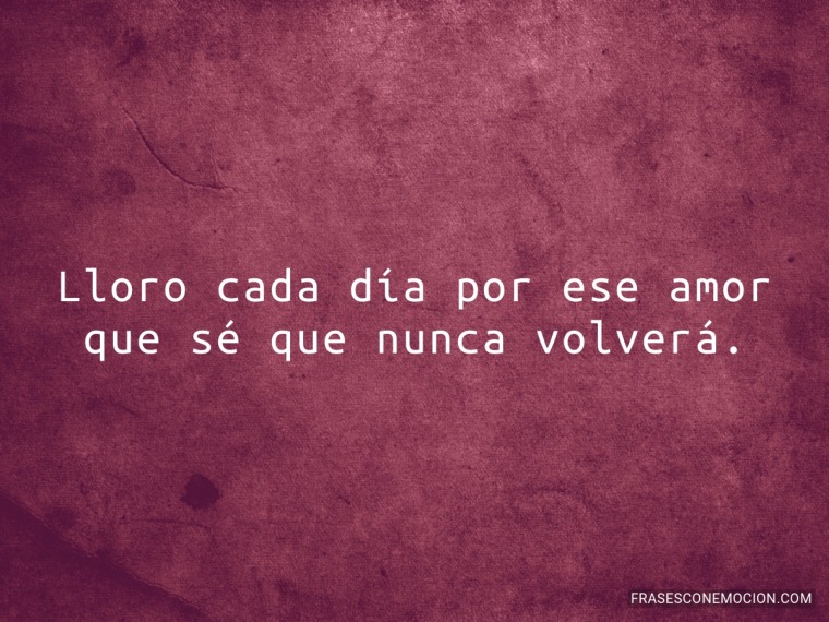 Lloro cada día por...