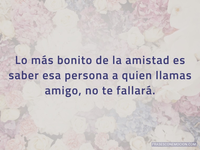 Lo más bonito de la amistad...