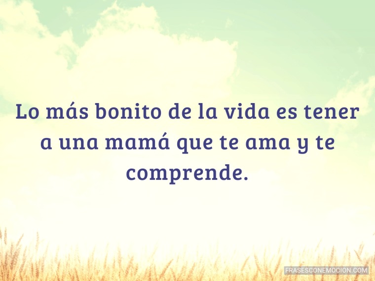 Lo más bonito de...