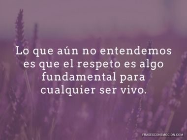 Lo que aún no entendemos...