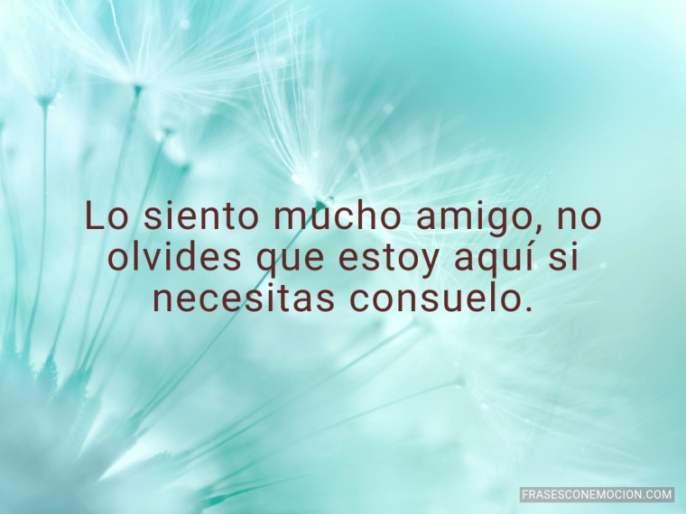 Lo siento mucho amigo...