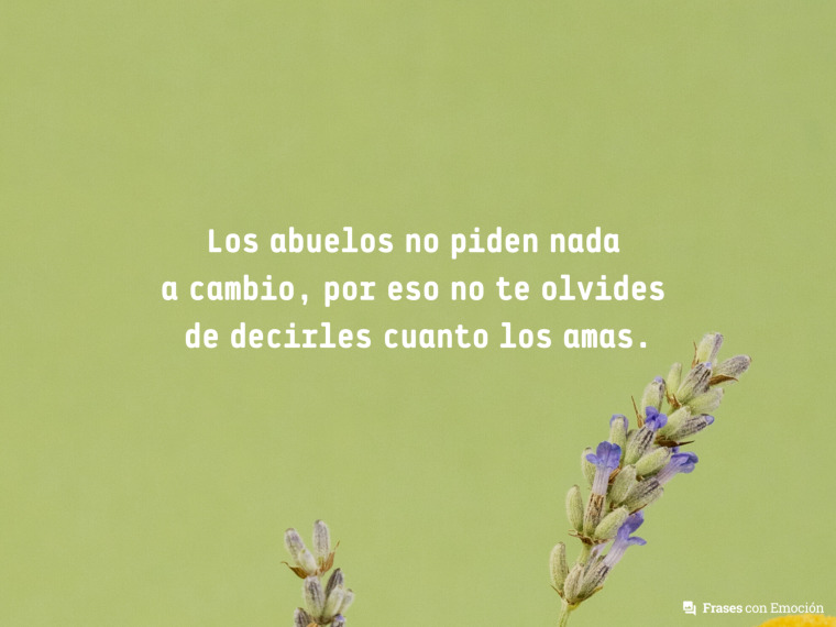Los abuelos no piden nada a cambio...