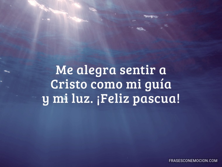 Me alegra sentir a...