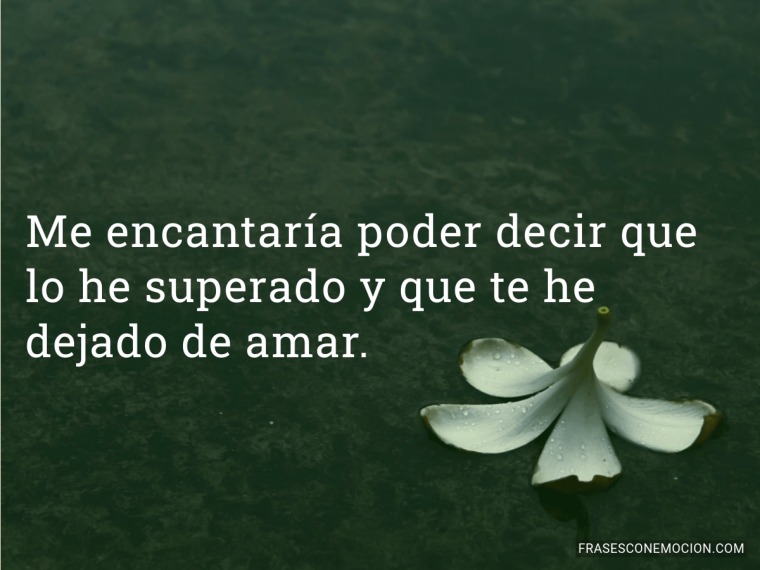 Me encantaría poder decir...