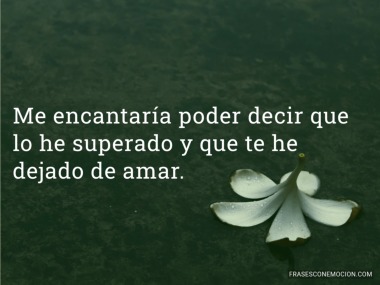 Me encantaría poder decir...