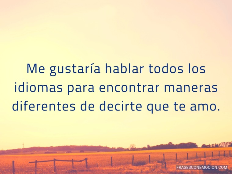 Me gustaría hablar todos los idiomas...