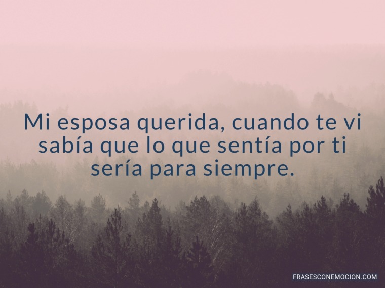 Mi esposa querida cuando te vi...
