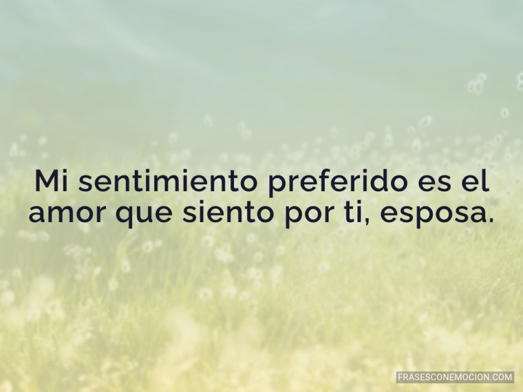 Mi sentimiento preferido es el amor...