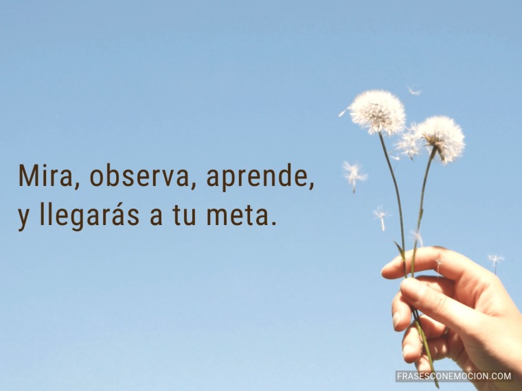 Mira, observa, aprende...