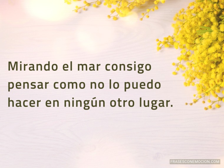 Mirando el mar consigo...