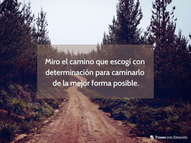 Miro el camino que escogí con...