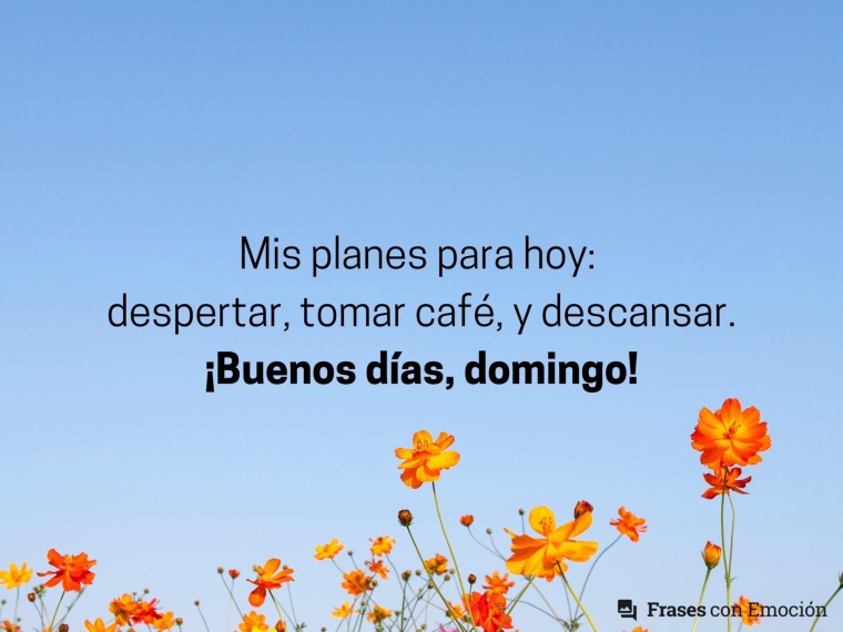 Mis planes para hoy...