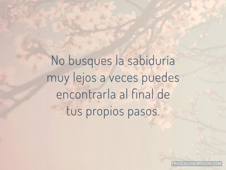 No busques la sabiduría...