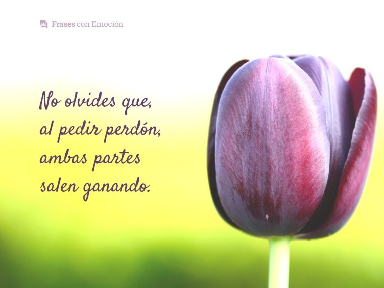 No olvides que...